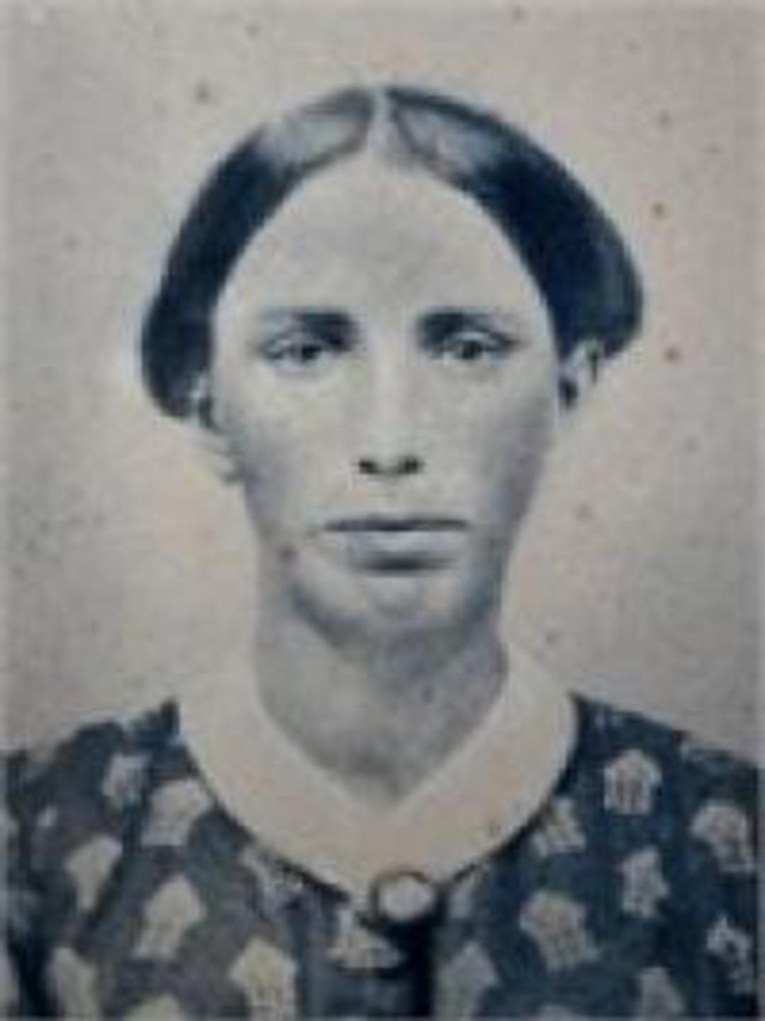 Sarah Elinor Brown (1827 - 1915) Profile